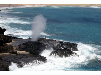 ハワイアンフォレストSpa 福岡天神店/ハロナコーブ（ハロナ潮吹き穴）