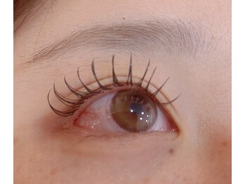 ブリランテ/フラットラッシュ120本