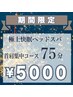 期間限定【8/18(火)～8/30(日)ご来店の方限定】ドライヘッドスパ75分 5000円
