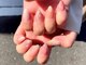 シェリーネイル(Cheri nail)の写真/オフィス/カジュアル/トレンドシンプルまで幅広く美爪デザインご提案♪【ワンカラー★初回オフ無料¥4200】