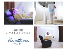 ランタナ