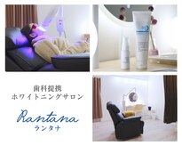 ランタナ