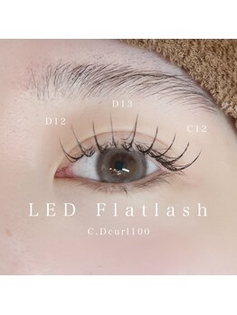 ルヴェール 札幌円山店(Le vail)/LED100本