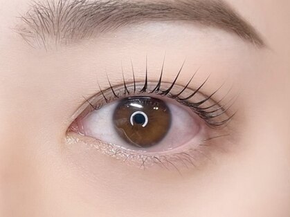 サロン ド ルピア(SALON de LUPIA)の写真