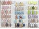 サバビューティースペース 岡崎市(SABA beauty space)の写真