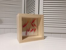 ハミングバード/