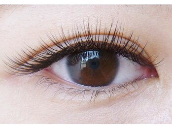 テイラー(Taylor)/上まつげエクステ無制限 SONE