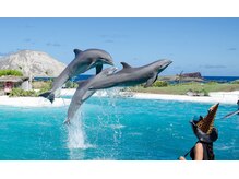 ハワイアンフォレストSpa 福岡天神店/シーライフパーク・ハワイ