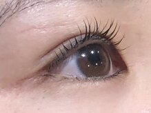 ピクシーボブ(Pixie Bob)/★マツパ根本からしっかりカール