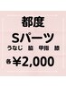 Sパーツ（脇、手甲指、脚甲指、うなじ、ひざ）1回¥2,000