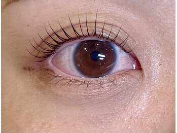 ヌイ(nui)/ラッシュリフト・まつ毛パーマ