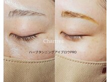 シャルトルズ/ハーブタンニングアイブロウ