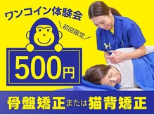 ほねごり接骨院 はりきゅう院 大泉学園駅前院