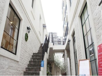 スプレミア(spuremia)/外観