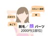 【脱毛】顔パーツ(2000円/1部位)◆初回500円引き!