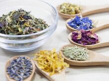 Herb Head Spa TERRA【1月上旬OPEN(予定)】