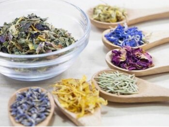 Herb Head Spa TERRA【1月上旬OPEN(予定)】