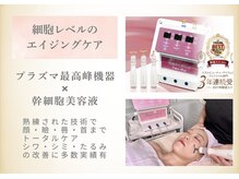 グロッシー(glossy)