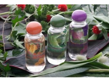 オン 絹(on silk)/体質別オイルで施術効果の底上げ