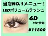 7月限定!LEDボリュームラッシュ☆6D付け放題!!11800円