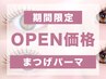 【オープン記念】似合わせまつげパーマ (まつ毛パーマ)◎2,900円