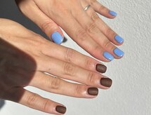 ソリッドカラー(solid color)