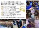 エルウィズユー(L with U)の写真