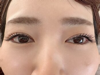 リボン(RIBBON)/LEDフラットラッシュ付け放題