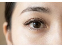 メイリー(Meily)/LEDフラット120本