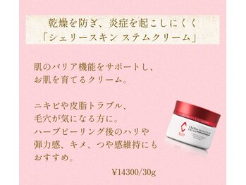 アンジェリカ(Angelica)/リアボーテ シェリースキン