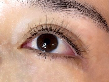 ウルカ アイラッシュ(uruka EYELASH)/フラットラッシュ 120本