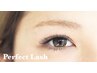 【Perfect Lash】　軽量＆長持ちマツエク☆90束　