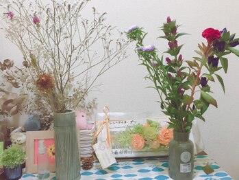 ハミングバード/今日のお花