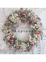 Lupinus(スタッフ一同)