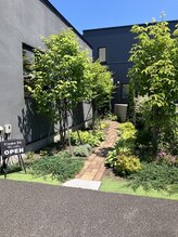 シャムス(SHAMS)/