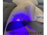 お帰りクーポン半年以上ご来店がない方　LEDライトエクステ両目で80本　¥3600