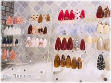 ルピネス(Lupines)/種類豊富な定額デザインプラン♪