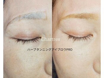 シャルトルズ/ハーブタンニングアイブロウ