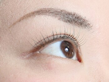 アイラッシュサロン エール(Ailes)/エクステ80本