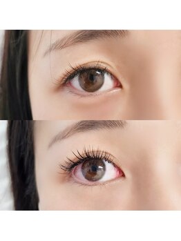 リノン(Linon)/★【キープフラットラッシュ】