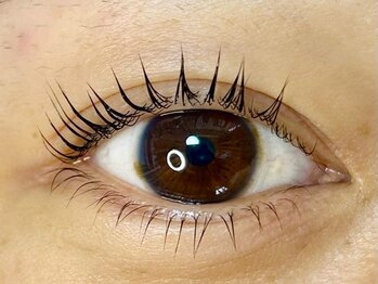 エイト 渋谷本店(eight)/上下ラッシュリフト