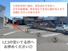 ルピナス(Lupinus.)/【駐車場ご案内&道案内】
