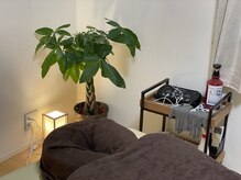 リアン バイ 太陽の月整骨院(Lien)/癒しのグリーン空間