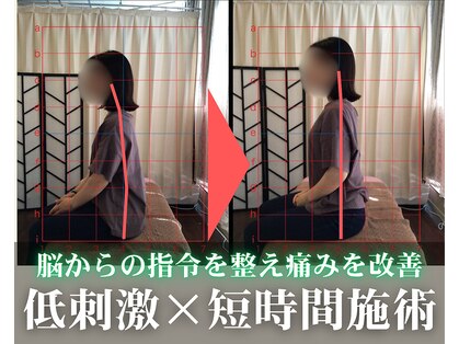 整体院 ヤモリの学校の写真