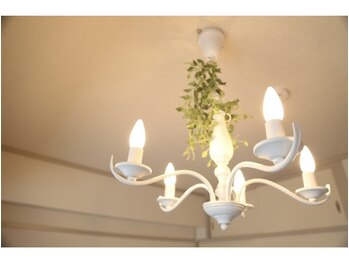 ラポーム 二子玉川(La paume)/一緒にキレイをみつけましょう♪