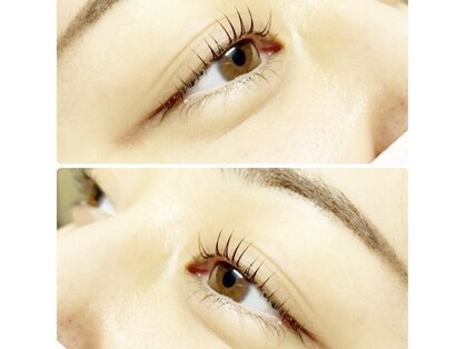 スプリング(Spring)の写真