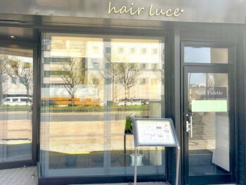 ネイル パレット(Nail Palette)/外観