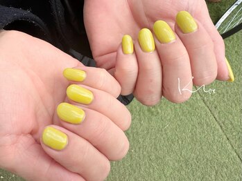 クレー(Klee)/美ワンカラー