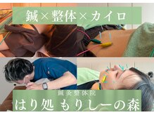 鍼灸整体院 はり処もりしーの森