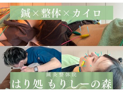 鍼灸整体院 はり処もりしーの森の写真